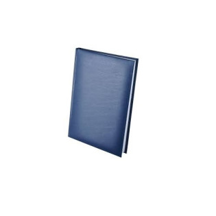 Купить Ежедневник, А5, недатированый, = синий 